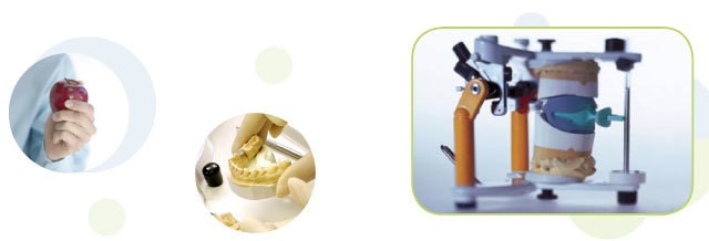 Main tenant une pomme, denture, prothèse de précision